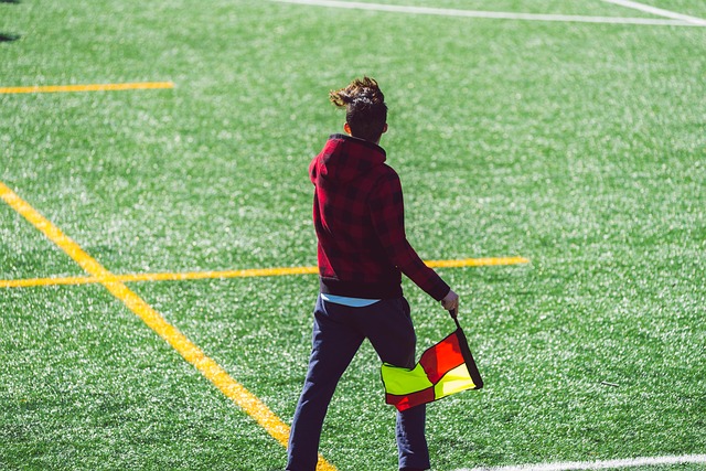 家队的主力 家队的主力