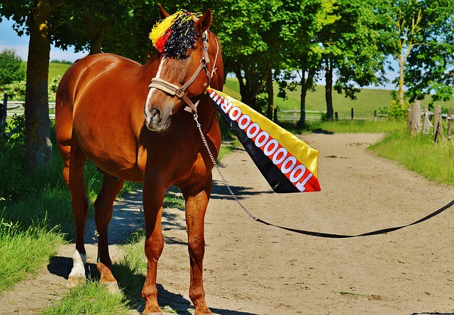 苏亚雷斯 苏亚雷斯