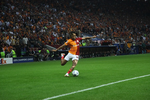 賽競爭力起 賽競爭力起