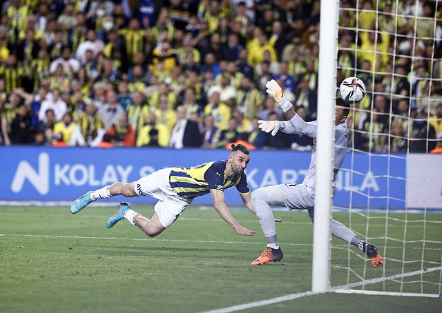 病频发已成 病频发已成