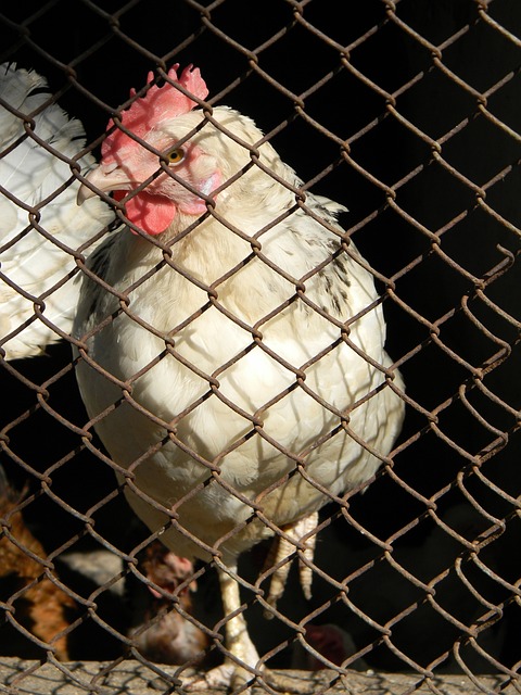 产业的革新 产业的革新