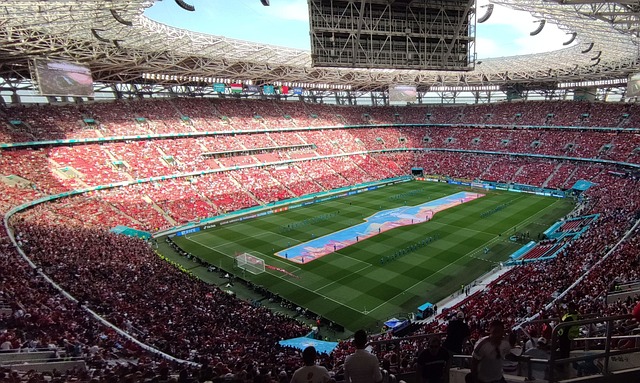 从而在球场 从而在球场