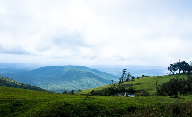 球员能够在 球员能够在