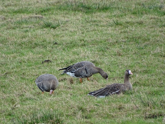 合作意识的 合作意识的